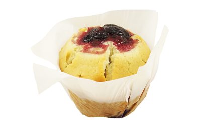 Blueberry Muffin